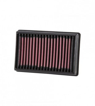 Filtro de Aire BM-1113 K&N